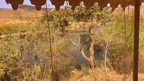 A view from a tent with a natural landscape, including a tree and a body of water.