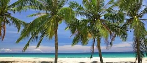 Playa en los alrededores