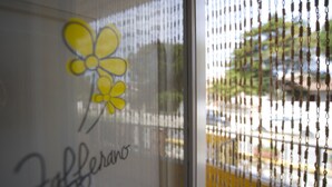 A window with a yellow flower design and the word "Zafferano" written on it. - Fiori Gialli Caucana (Santa Croce Camerina)