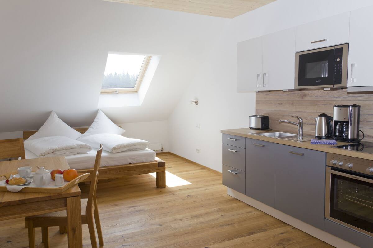 Apartment, Mountain View | Private kitchen | Fridge, oven, stovetop, electric kettle
