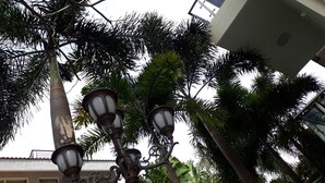 Panoramic Villa, 5 Bedrooms, Ocean View | View from room - Seaview Winner Pool Villa (Ho Chi Minh City)