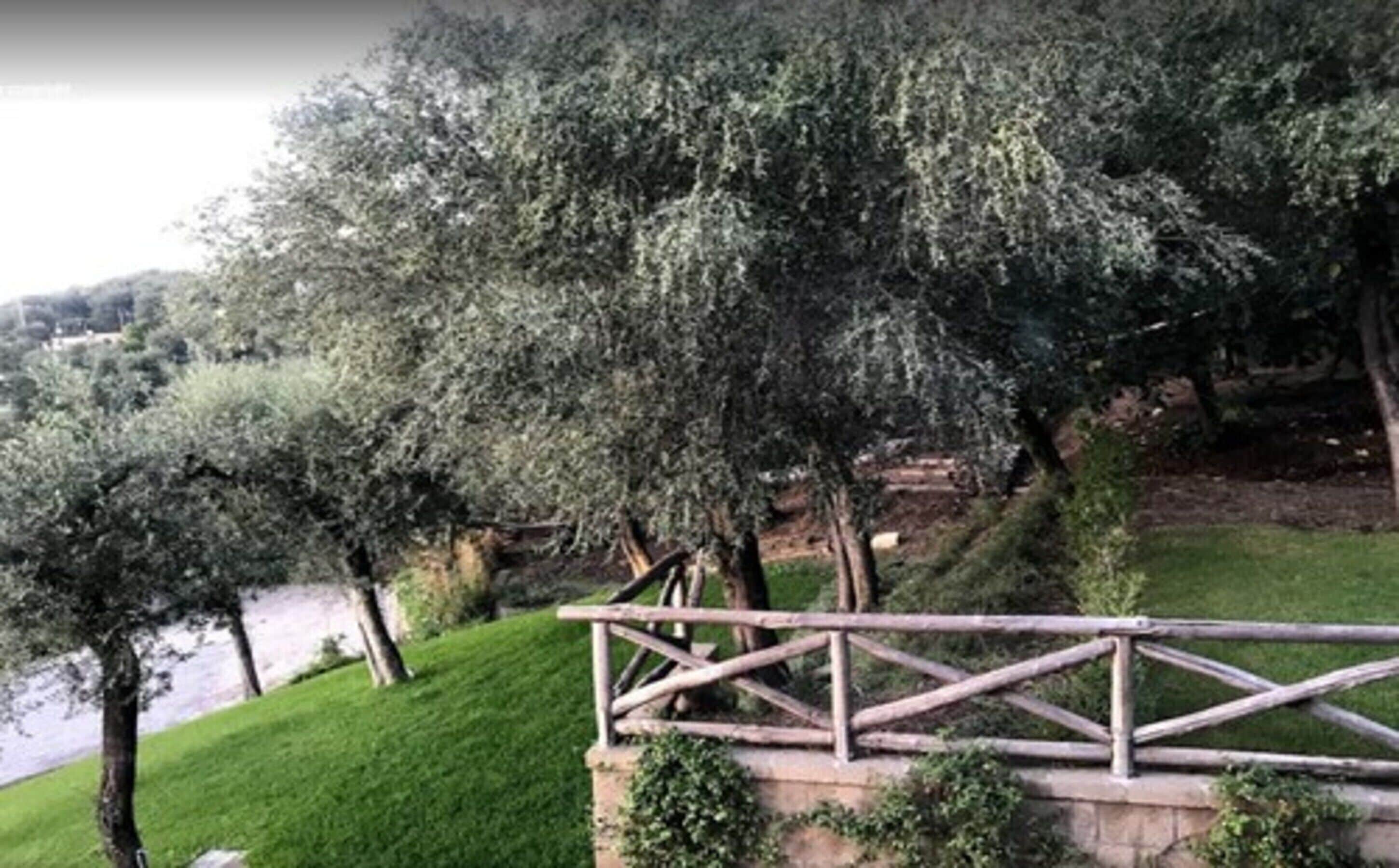 Photo - Maison Bon Bon