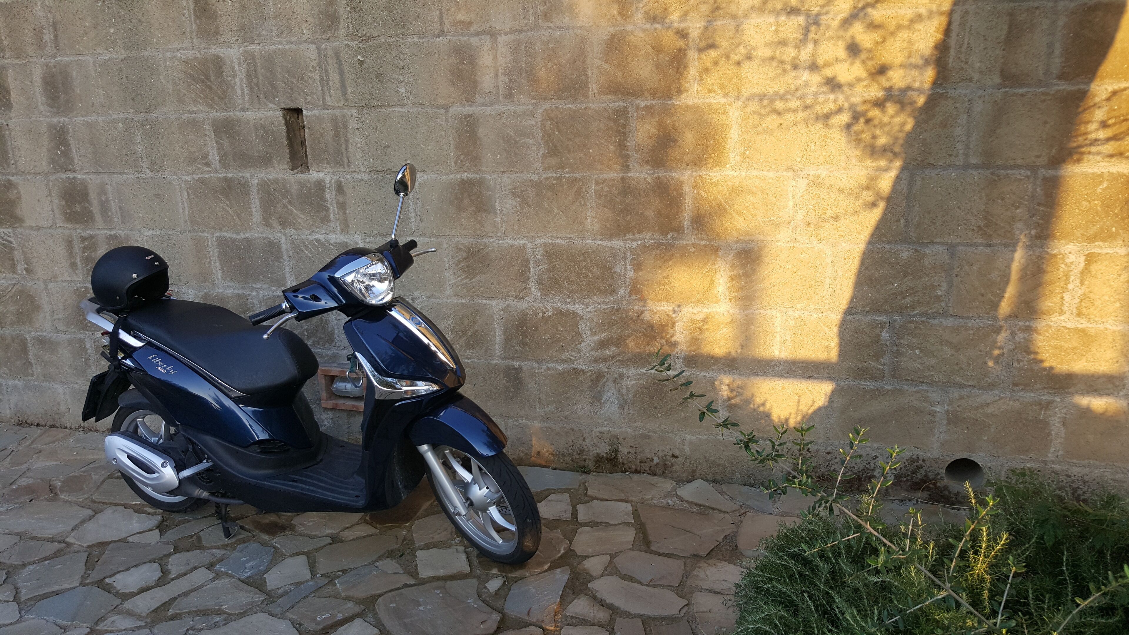 Photo - Maison Bon Bon