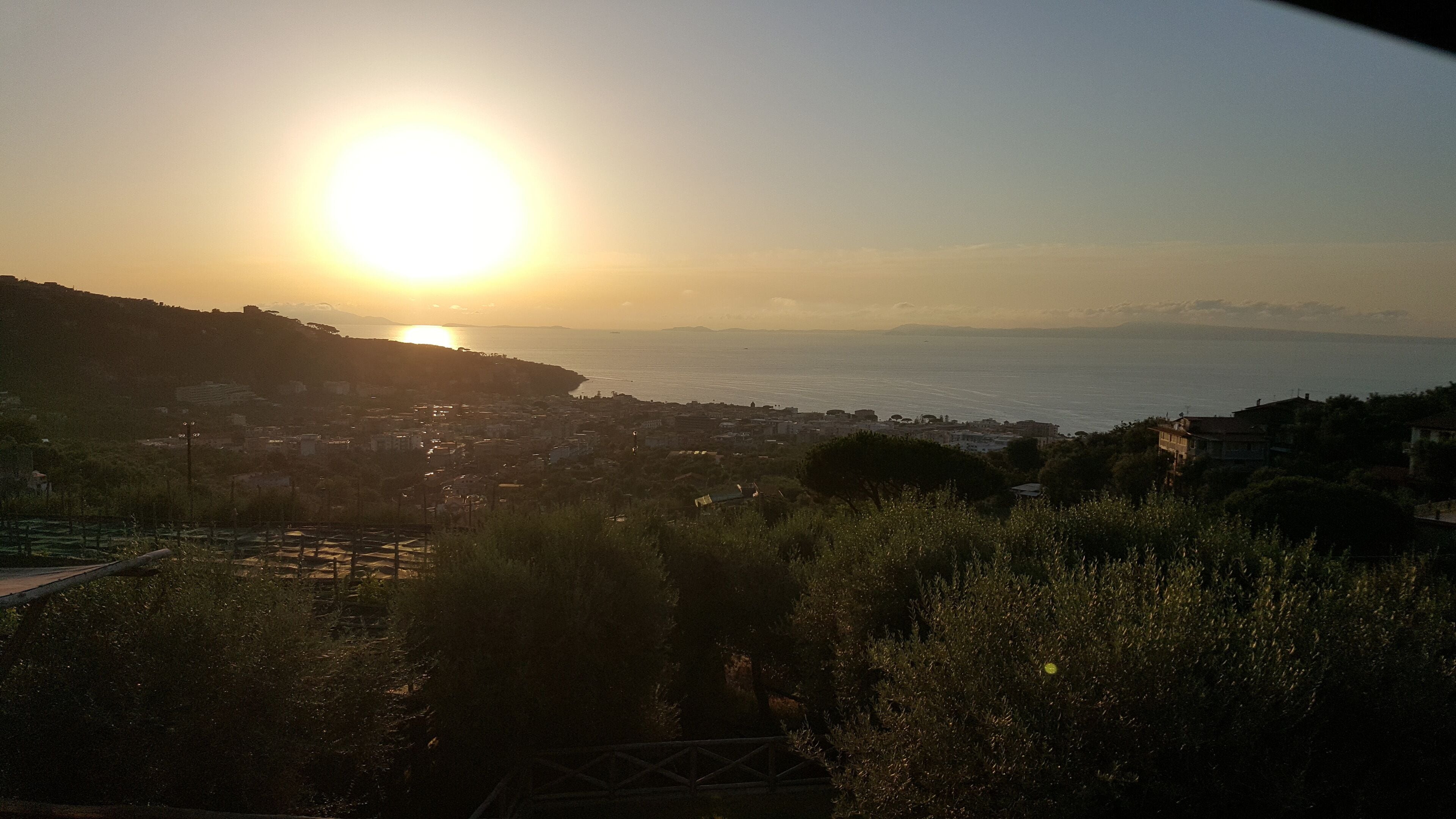 Photo - Maison Bon Bon