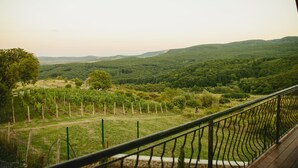 Un balcón con vistas a un viñedo y colinas ondulantes.