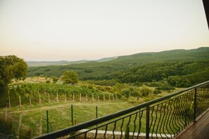 Garden - Vila Dintre Vii (Miercurea Sibiului)