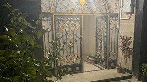 An entrance with ornate metal gates and a small potted plant in the foreground. - Casa De Horyea  (Cairo)