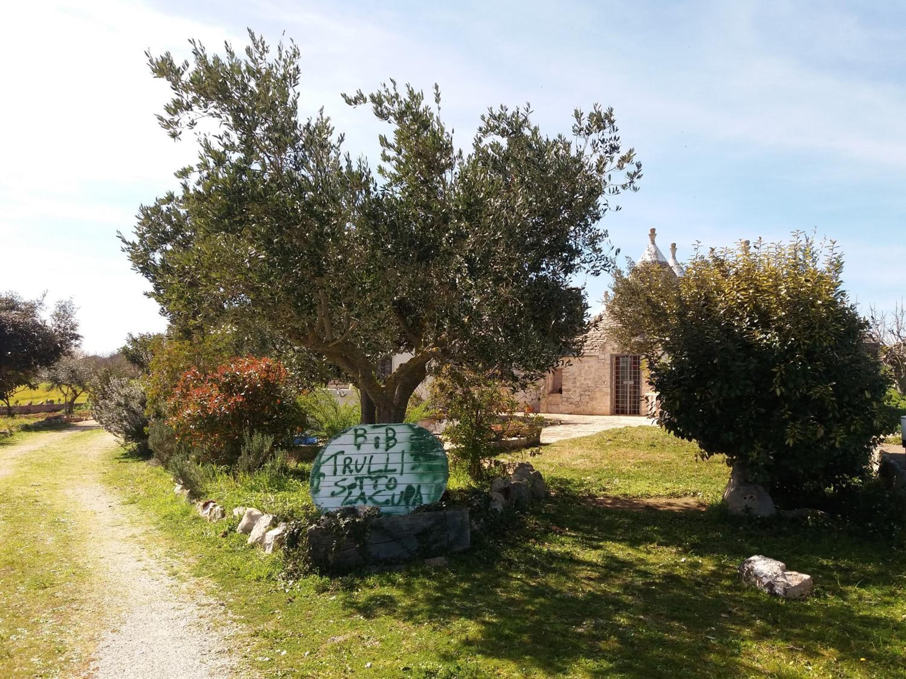 A rustic stone building with a large tree in front.