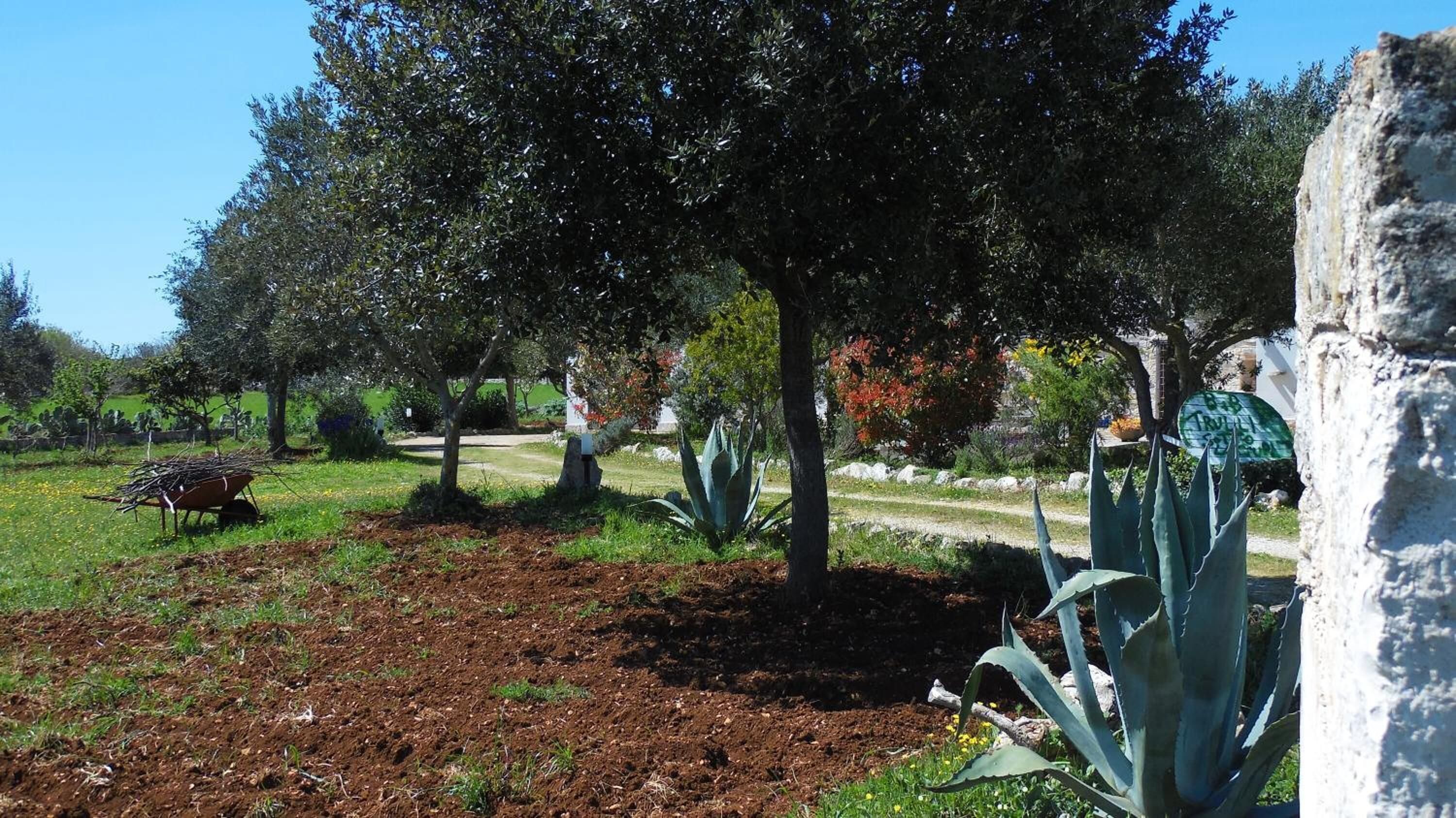 A garden with various plants, a wheelbarrow, and a stone wall.