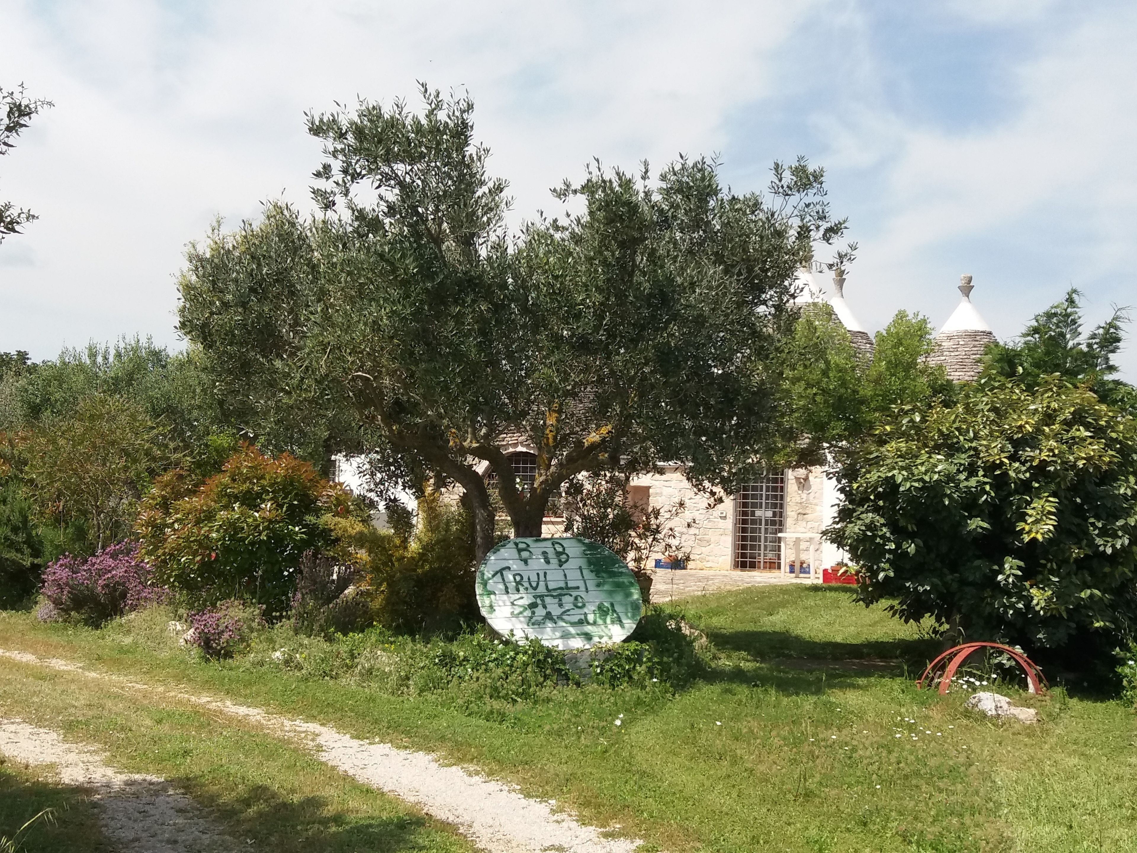 A garden with a large tree, a stone building with a dome, and a sign with text.