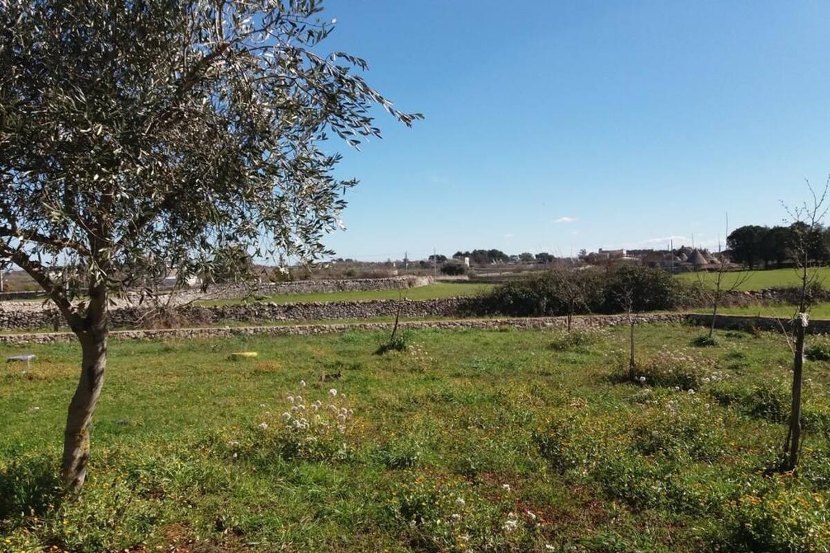 Ländliche Landschaft mit Baum, Wiese und Steinmauer.