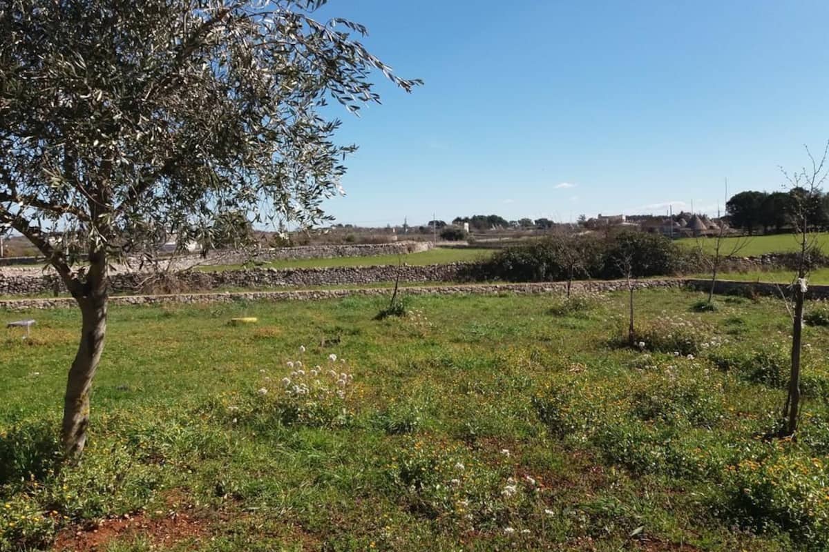 Classic Apartment, 2 Bedrooms, Garden View | View from room