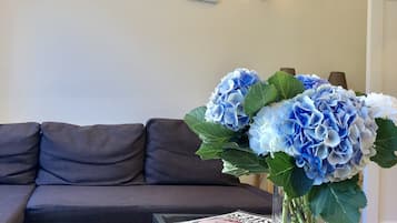 Comfort Duplex, 2 Bedrooms, City View | Living area