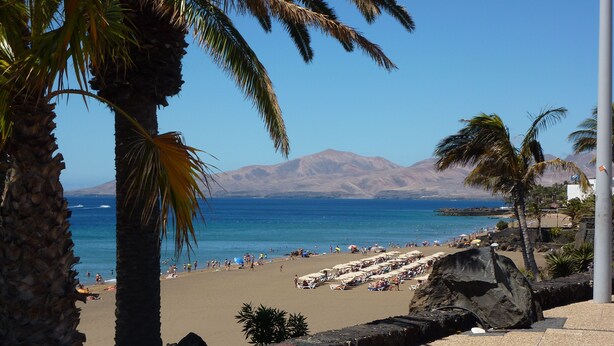 Una playa con palmeras, un muro de piedra y vistas al océano y montañas.