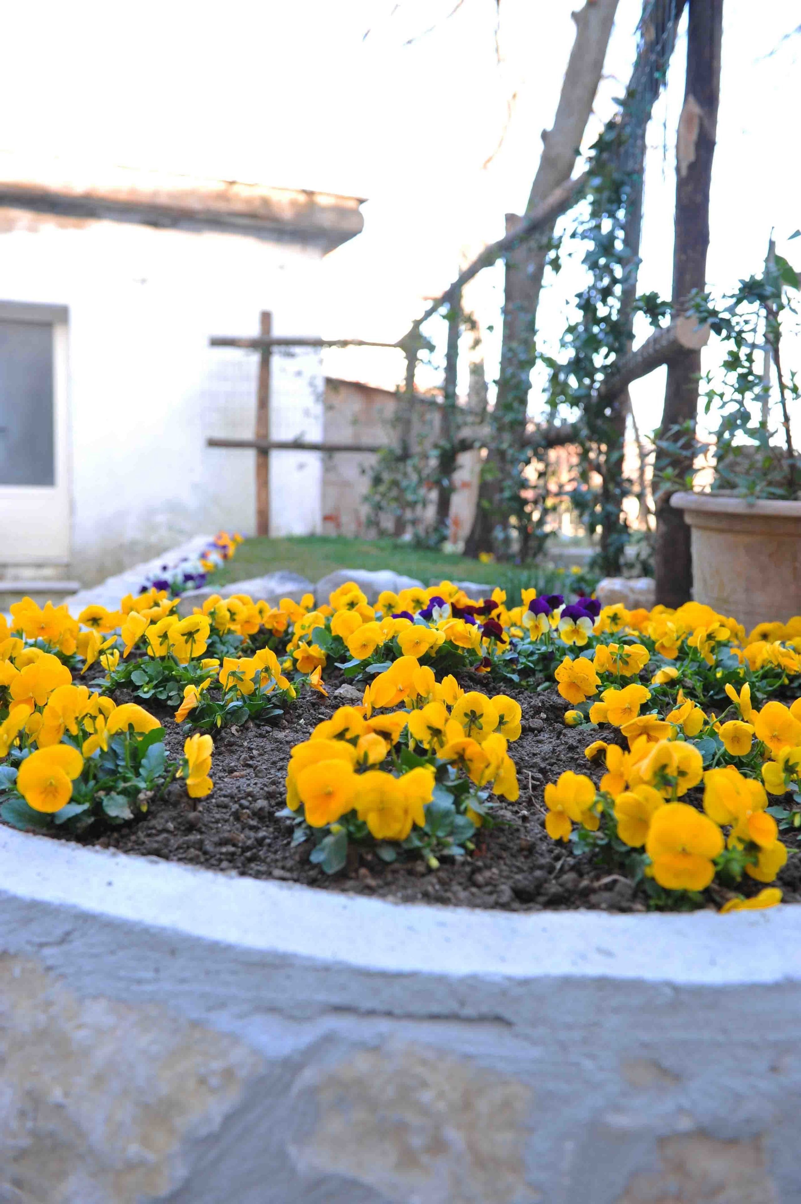 A garden with yellow flowers and a cross in the background.