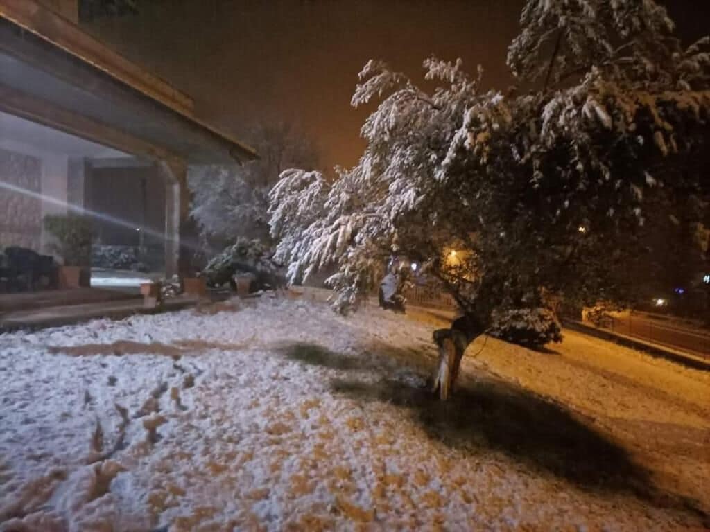 A snow-covered outdoor area with a building on the left and a tree in the center.