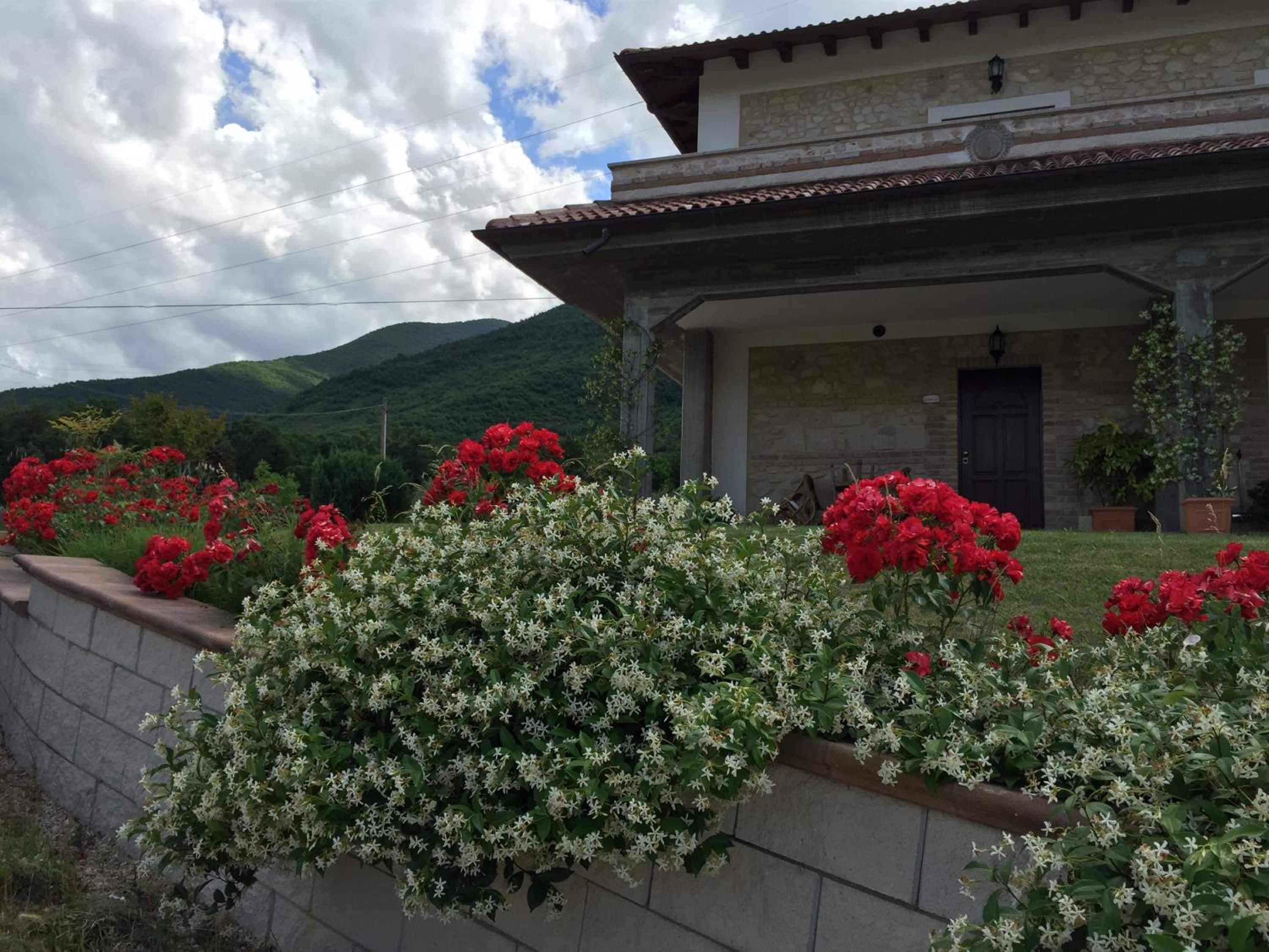A house with a stone facade, a tiled roof, and a garden with red and white flowers.