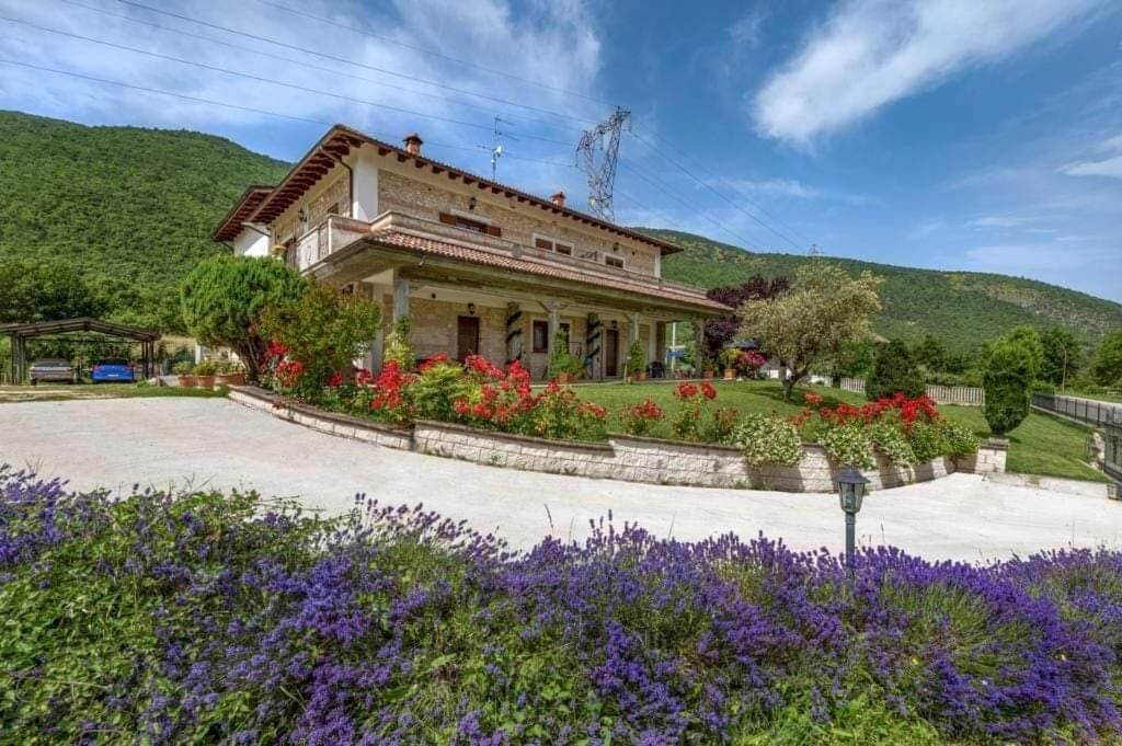 A two-story house with a porch, surrounded by a landscaped garden with various plants and flowers.
