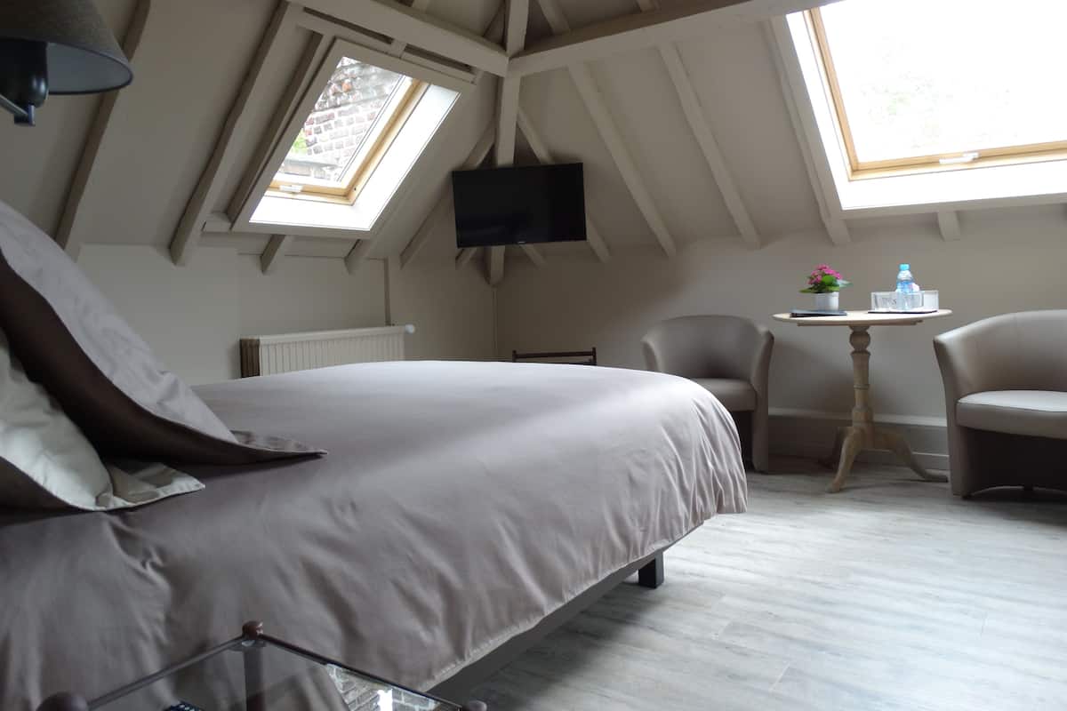 A bedroom with a bed, two chairs, a small table, a TV, and skylights.
