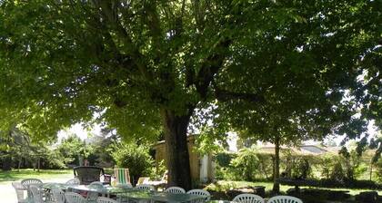 GITE 8-15 Pers WE ou VACANCES au SOLEIL dans le Quercy