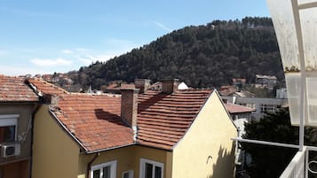 Un barrio residencial con tejados de tejas color terracota, un edificio amarillo con ventanas blancas y una colina boscosa al fondo.