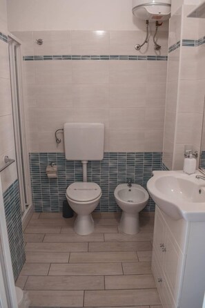 Shower, free toiletries, hair dryer, bidet