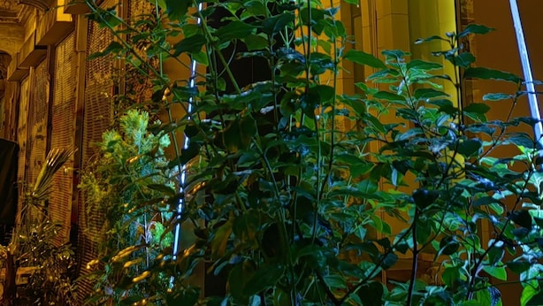 Interior de hotel con arquitectura decorada, un reloj y plantas de interior.