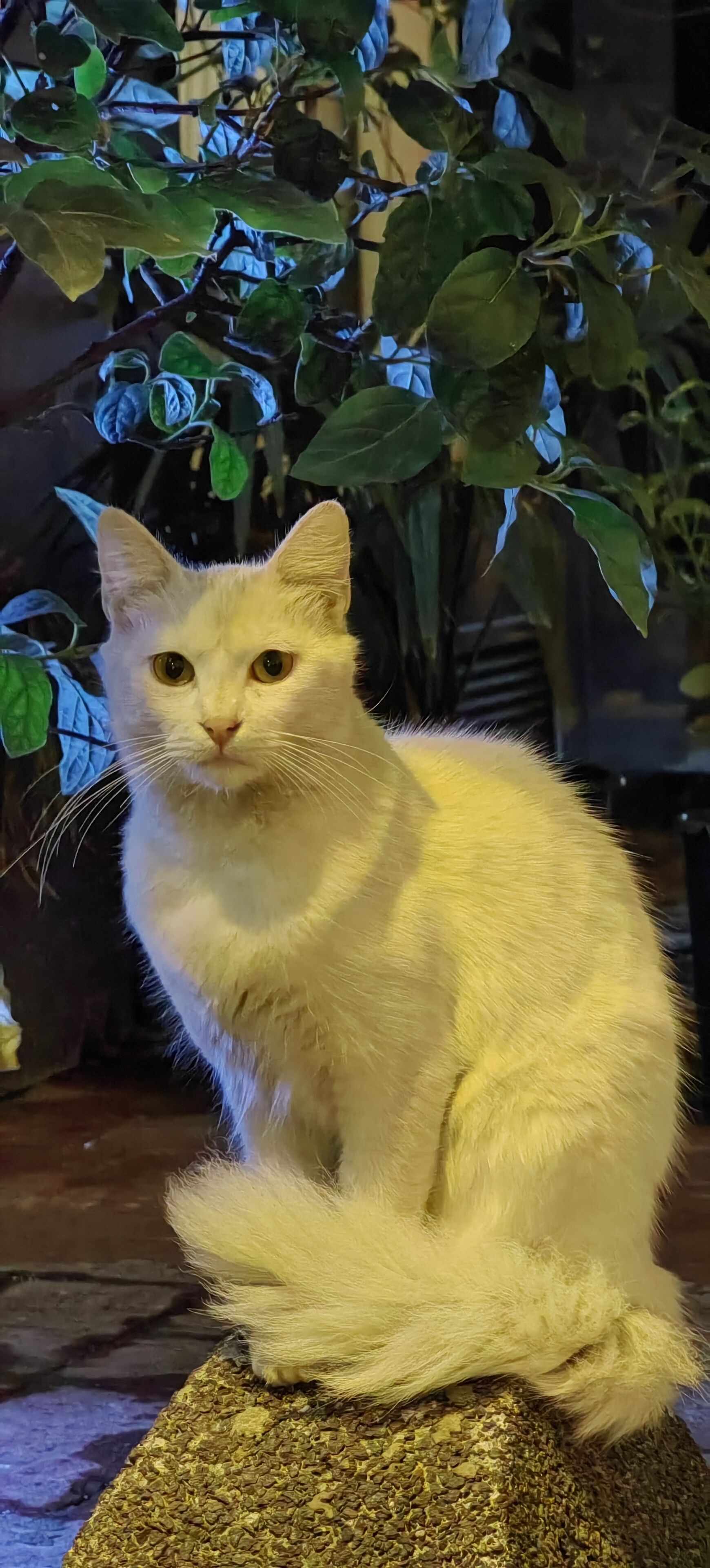 Foto - taksim diamond hotel