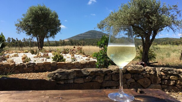 A glass of white wine on a wooden table with a stone wall and olive trees in the background. - Villa Arzilla Sardegna (Alghero)