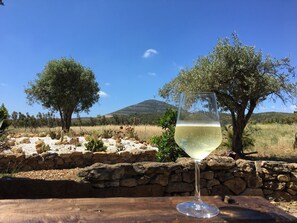 A glass of white wine on a wooden table with a stone wall and olive trees in the background. - Villa Arzilla Sardegna (Alghero)