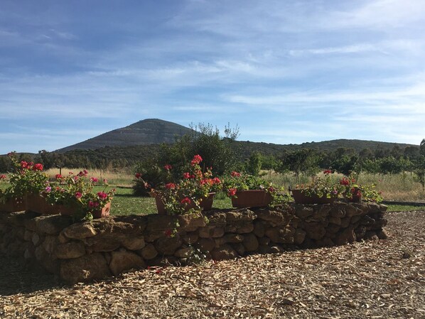 A stone wall with flower planters and a gravel path. - Villa Arzilla Sardegna (Alghero)