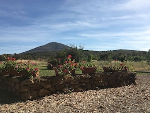 Jardín