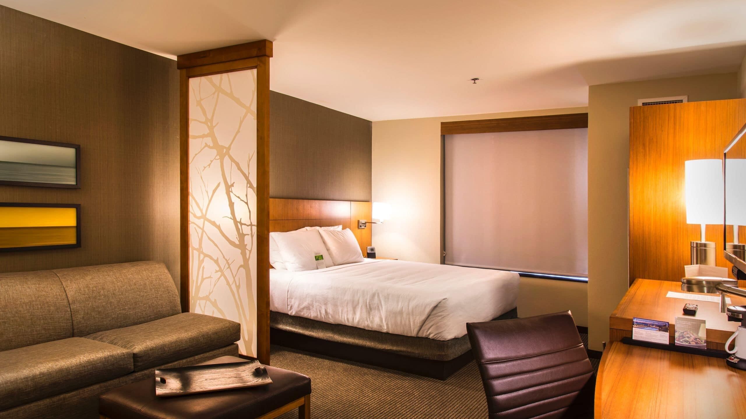 A hotel room with a bed, a sofa, a desk, and a chair.