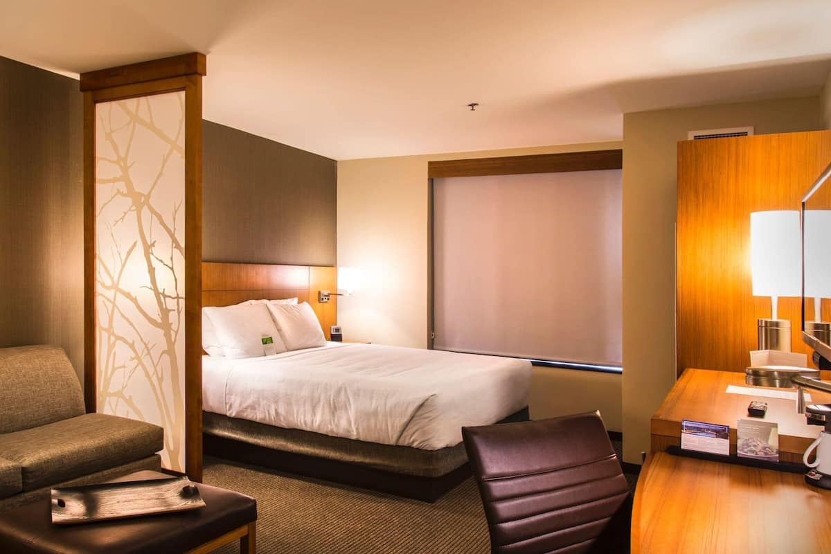A hotel room with a bed, a sofa, a desk, and a chair.