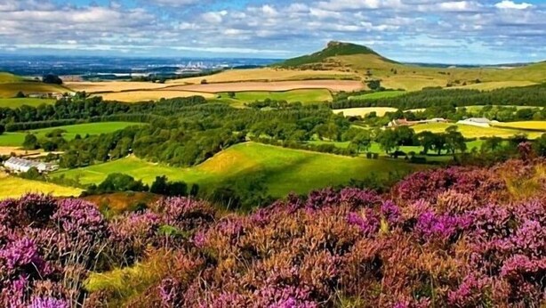 Vista panorámica de un paisaje montañoso con campos, una colina y brezo morado al frente.
