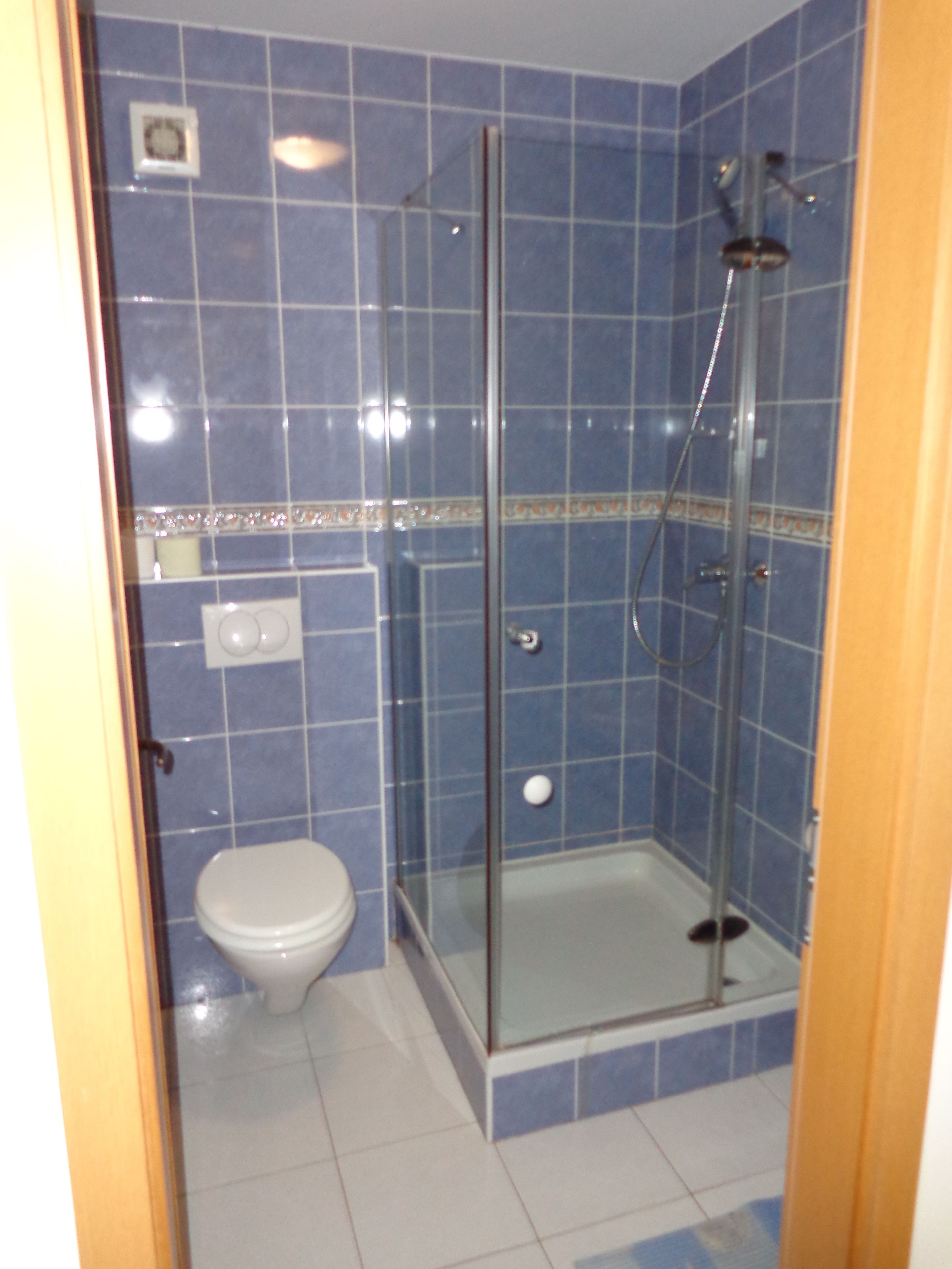 Ein Badezimmer mit Duschkabine, Toilette und blauen Fliesen.