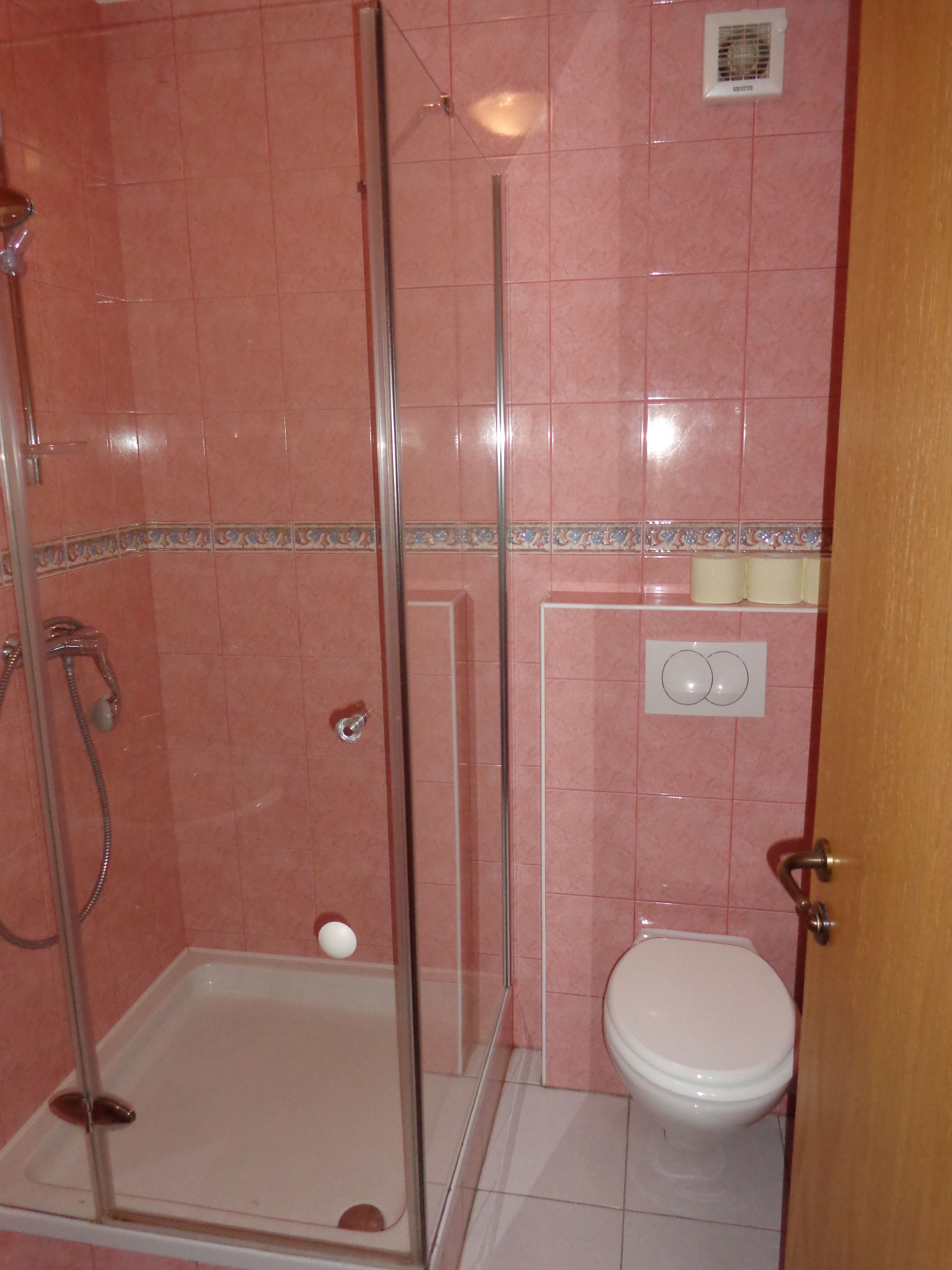 A bathroom with a glass-enclosed shower, a white toilet, and pink tiled walls.