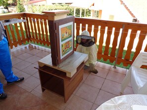 Terrace/patio - Tourist farm and beekeeping Salamun (Verzej)