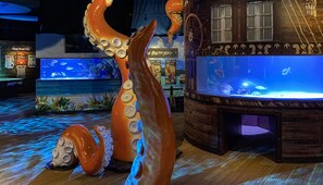 Interior - Angel Oak Retreat, Beach House with a Pool (South North Myrtle Beach)