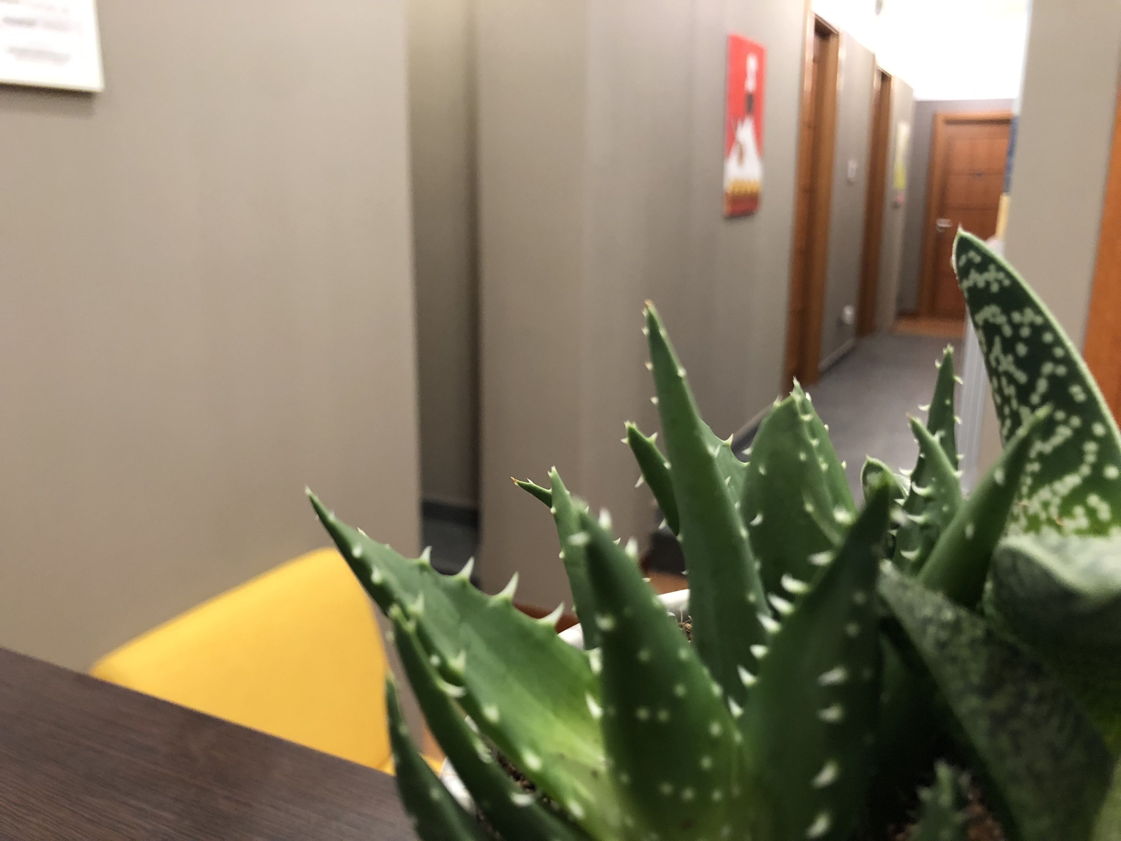 Photo - Piazza Carità