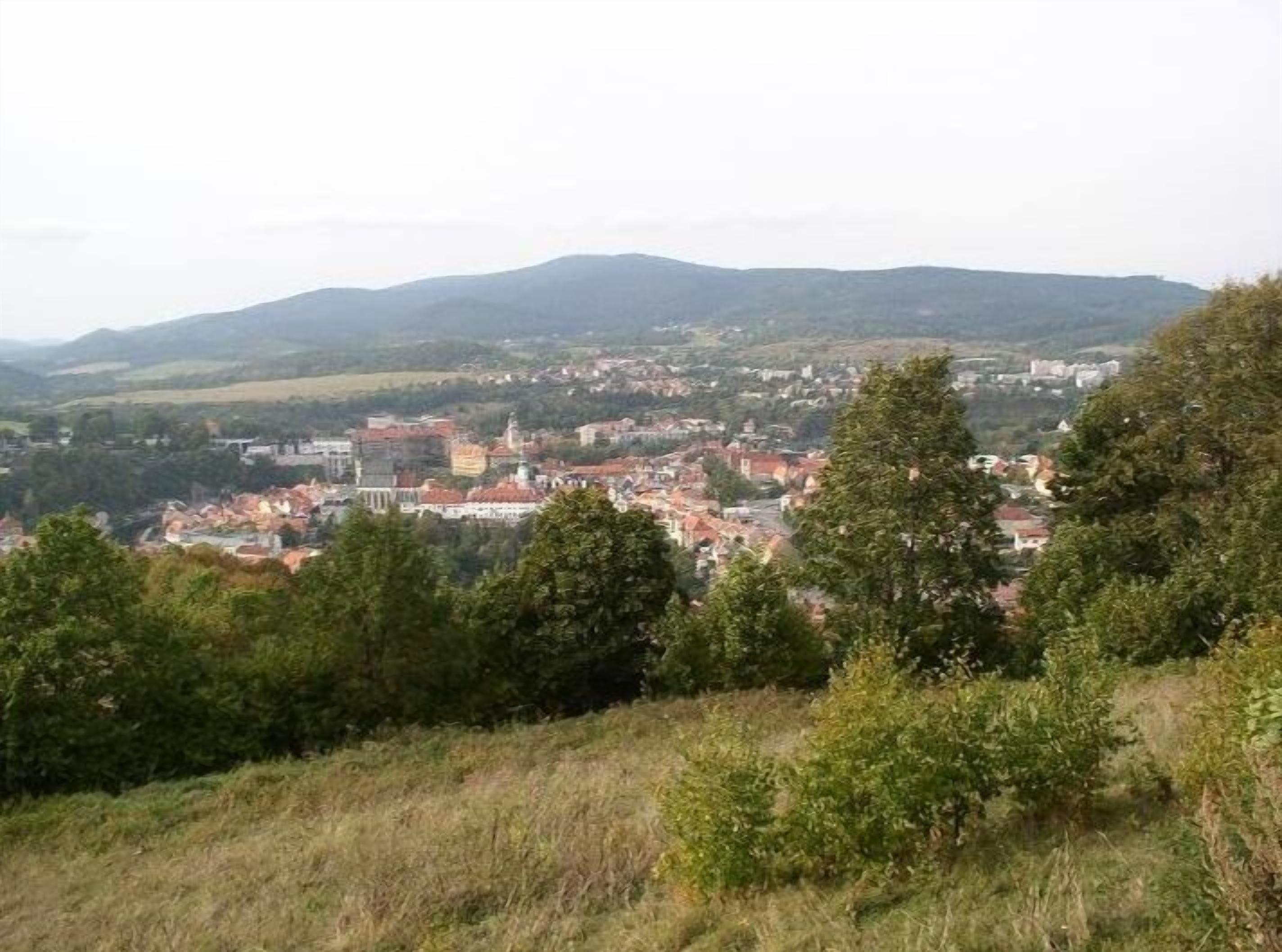 A town with buildings, trees, and hills in the background.