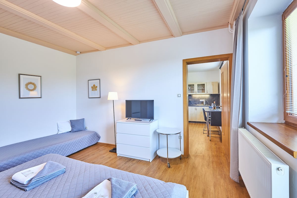 A modern bedroom with two beds, a TV, a desk, and a view into the kitchen.