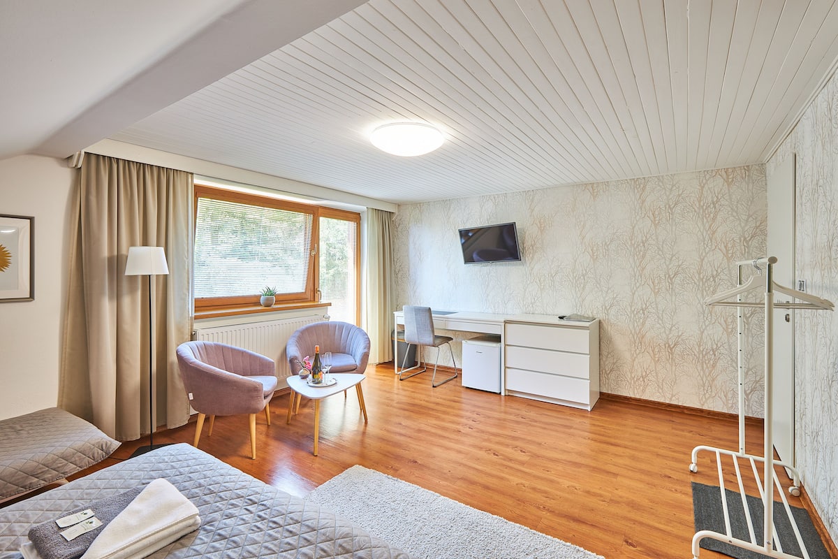 A hotel room with a bed, two chairs, a desk, a TV, and a radiator.