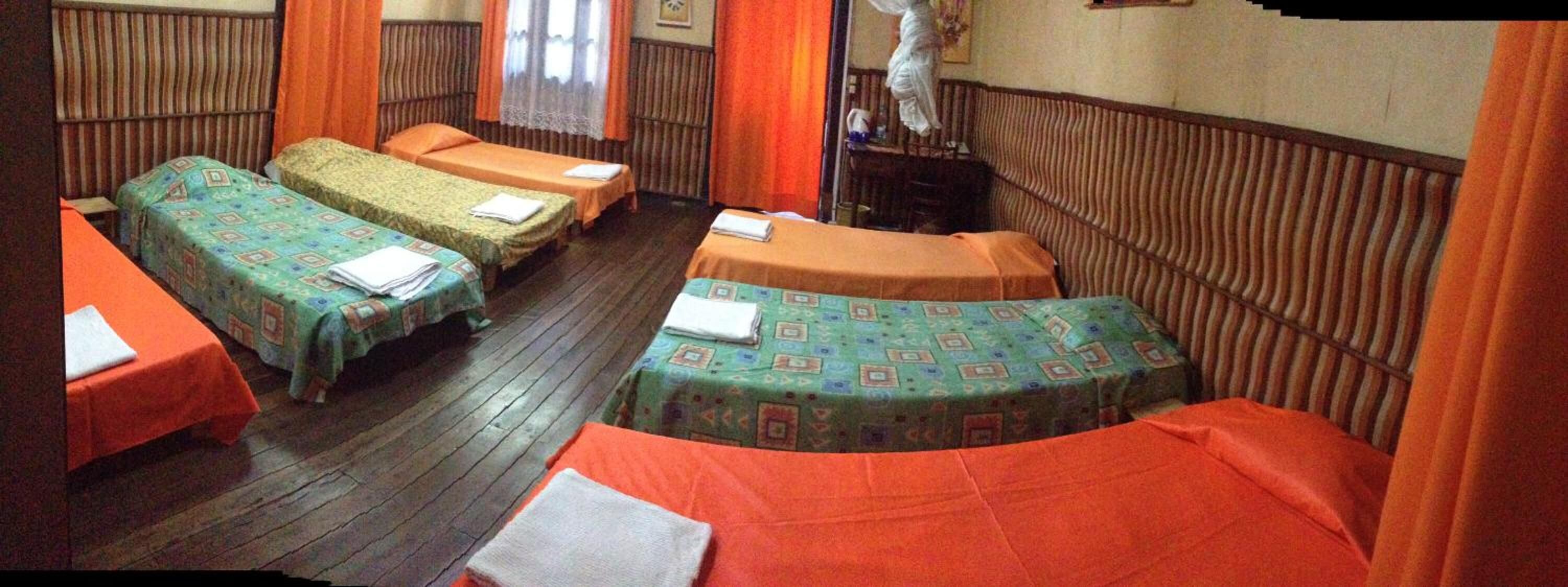 Foto - Tana-Jacaranda - Hostel