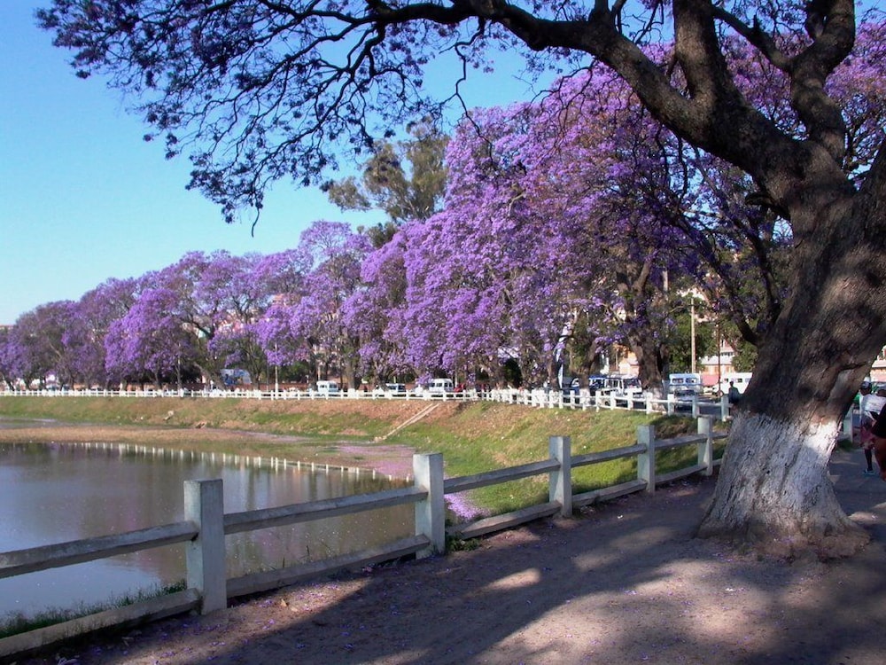 Tana-Jacaranda Hotel by null