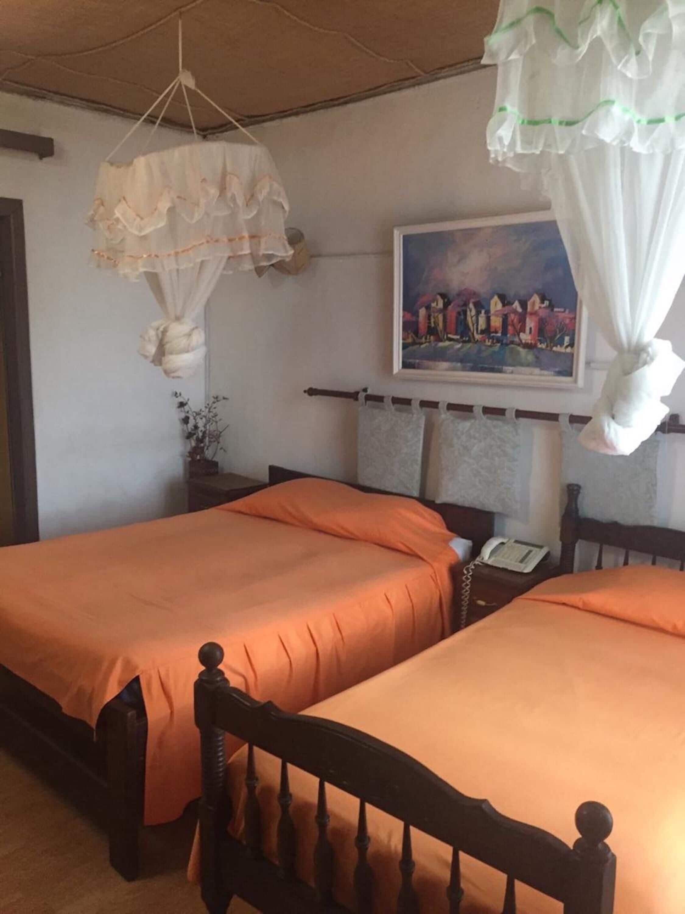 Photo - Tana-Jacaranda - Hostel