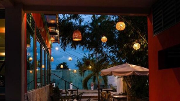Un patio al aire libre con mesas y sillas, plantas en macetas y luces colgantes.