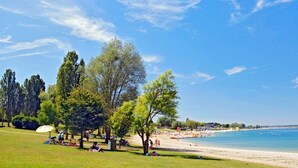 A beach with a grassy area, trees, and a clear blue sky. - Logis Hôtel-Restaurant Domaine de Montecristo et Gîte l'Évasion Dantès (Bourguignons)