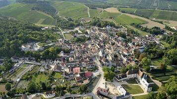 An aerial view of a small town with a dense cluster of houses, a church, and surrounding green fields.