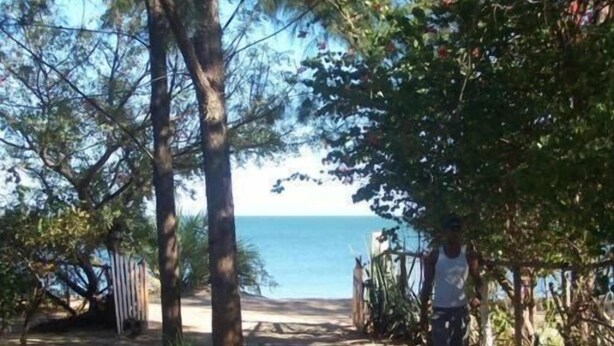 Un sendero que lleva a una playa, con árboles a ambos lados.